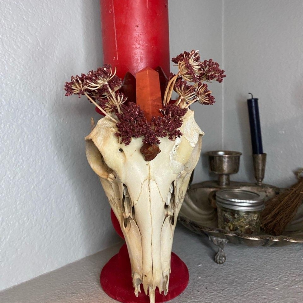 Deer skull candle holder